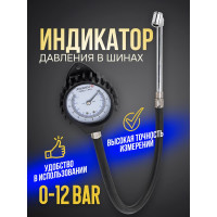 Индикатор для проверки давления в шинах грузовых а/м Forsage 0-12 bar F-SDG-08(57006)