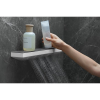 Боковой душ HANSGROHE 26243700 HG Rainfinity 1jet с полкой 500 00000071267