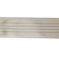 Gigant Professional Строп текстильный петлевой СТП 4Т/5М GP-STP-0009