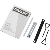 Gigant Бензиновый генератор GGL-5500ES