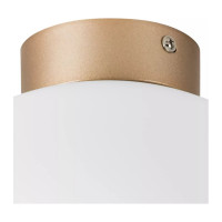 Потолочный светильник Lightstar 812033