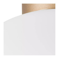 Потолочный светильник Lightstar 812033