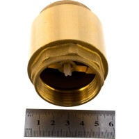 Обратный клапан Giacomini R60 латунь, осевой, Ду 32, Ру 10, Тмакс-110, ВР, G1, 1/4 019-0224