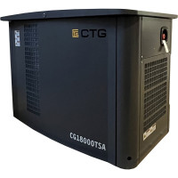 Электроагрегат газопоршневой CG18000TSA в кожухе CTG 4687204619076