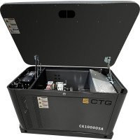 Электроагрегат газопоршневой CG10000SA в кожухе CTG 4687204619052