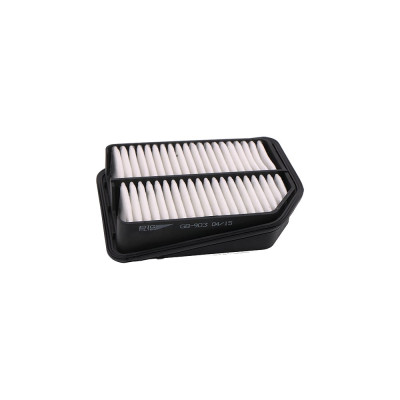 Воздушный фильтр SUZUKI GRAND Vitara 16-20L 05 BIG FILTER GB903