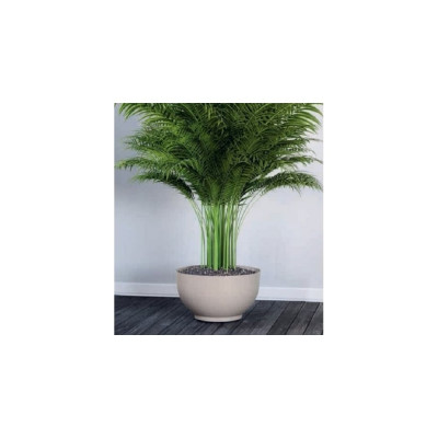 Кашпо FormPlastic 4391 011 Misa Satina 065172