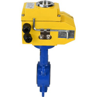 Затвор DN.ru WCB-316L-NBR Ду200 Ру16 с электроприводом QT-060 24В D050-02157