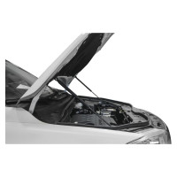 Амортизаторы капота 2 шт для Haval H6 I 2014-2020 гг АвтоУпор UHAH6011