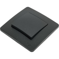 Переключатель Systeme Electric Blanca внутр Антрацит 1-клавишный, 10А, 250B SE BLNVS010606