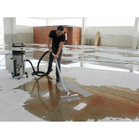 Промышленный пылесос COYNCO Basic WM 250, класс фильтра M WM250M