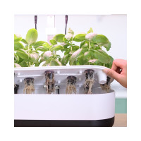 Гидропонная плантация на 10 мест Green Helper с автополивом и умной подсветкой GZ211
