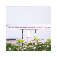 Гидропонная плантация на 10 мест Green Helper с автополивом и умной подсветкой GZ211