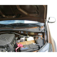 Газовые упоры капота АвтоУпор для Renault Sandero 2009-2014/Sandero Stepway 2010-2014, 2 шт URESAN/STW011