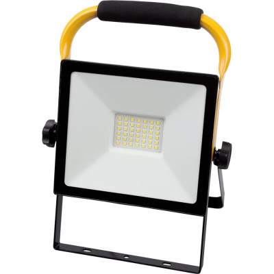 Светодиодный прожектор TDM ELECTRIC сдо-04-050н-п (переносной) 50 вт, 6500 к, ip65, черный, народный SQ0336-0201