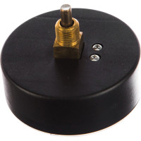 Термоманометр Watts F+R818 аксиальный 80 mm 10018742