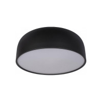 Накладной светильник LOFT IT Axel 10201/480 Black