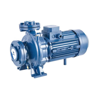 Моноблочный фланцевый насосный агрегат Purity PSTC 40-250 100588143