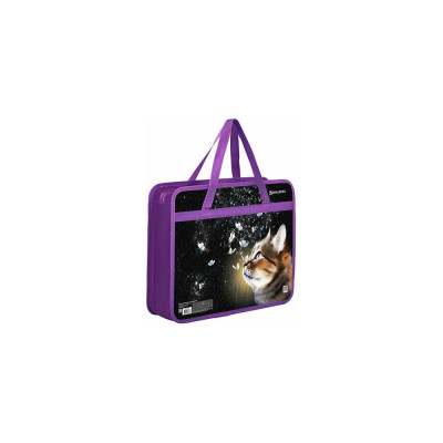 Папка BRAUBERG Dream cat 270868