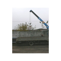 Крановые весы CAS 3THD CA0C80305GCI0501