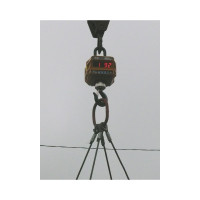 Крановые весы CAS 3THD CA0C80305GCI0501