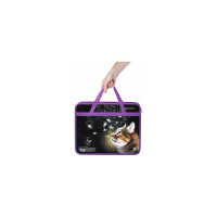 Папка на молнии с ручками BRAUBERG А4, 1 отделение, пластик, 80 мм, Dream cat 270868