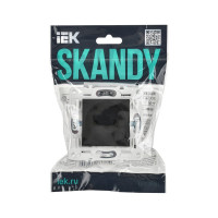 Розетка без заземления IEK SKANDY без защитных шторок 10А SK-R02Bl черный SK-R10-10-K02
