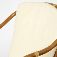 Комплект террасный Tetchair  AKIRA /с подушкой/ skin rattan eco, 54x60x78см / D46x40см, Natural (натуральный) 12993