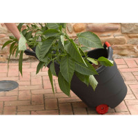 Тележка садовая TOOMAX 62 л Z0660MAA034