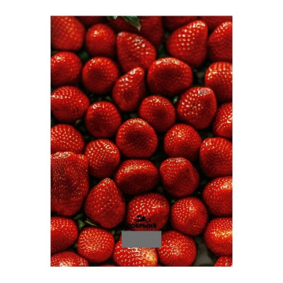 Кухонные весы Добрыня 3011S