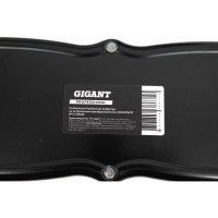 Gigant Professional Глубинный вибратор со встроенным преобразователем 36/220/5/10 ВЧ G-36220