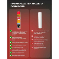 Полироль салона PLAK 750 мл аэрозоль Гранат 516023