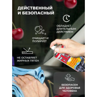 Полироль салона PLAK 750 мл аэрозоль Вишня 5163