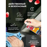 Полироль салона PLAK 400 мл аэрозоль Гранат 5128