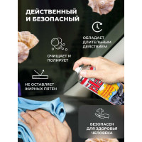 Полироль салона PLAK 750 мл аэрозоль Морской 1415