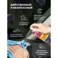 Полироль салона PLAK Frutti Rossi 750 мл аэрозоль 1411