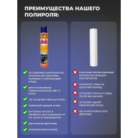 Полироль салона PLAK Frutti Rossi 750 мл аэрозоль 1411