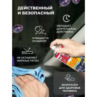 Полироль салона PLAK Виноград 750 мл аэрозоль 50017