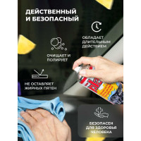 Полироль салона PLAK Ананас 750 мл аэрозоль 1417