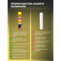 Полироль салона PLAK Ананас 750 мл аэрозоль 1417