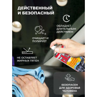 Полироль салона PLAK Океан 750 мл аэрозоль 50011