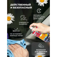 Полироль салона PLAK Зеленые холмы 750 мл аэрозоль 1416