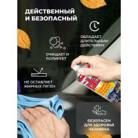 Полироль салона PLAK Табак 750 мл аэрозоль 1410