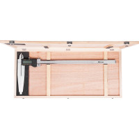 Штангенциркуль Micron ШЦЦ-2-630 0.01 губ.250мм МИК 77997