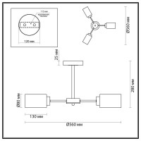 Потолочная люстра LUMION E14 3*40W DALLIN 5639/3C