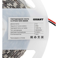 Gigant Светодиодная лента 5м, IP20, 1200Лм, SMD5050, 6500К G-HT24V-12W-6500K