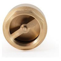 Обратный клапан PROFACTOR с латунным штоком, в/в 2" PF CV 245