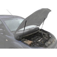 Газовые упоры капота АвтоУпор для Ford Focus II 2005-2008, 2 шт., UFDFOC012