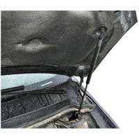 Газовые упоры капота АвтоУпор для Ford Focus II 2005-2008, 2 шт., UFDFOC012