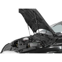 Газовые упоры капота АвтоУпор для Ford Focus II 2005-2008, 2 шт., UFDFOC012